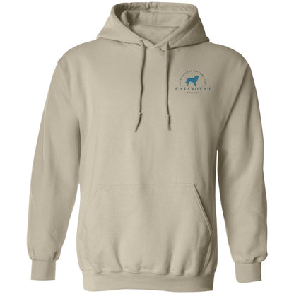 Furever Flow Unisex Pullover Hoodie